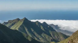 Anaga ruralpark, Tenerife: Laurbærskoger, utsiktspunkter og den beste kjøreruten (2026)