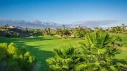 Golfparadis: Tee Time Bliss på Tenerifes beste golfklubber