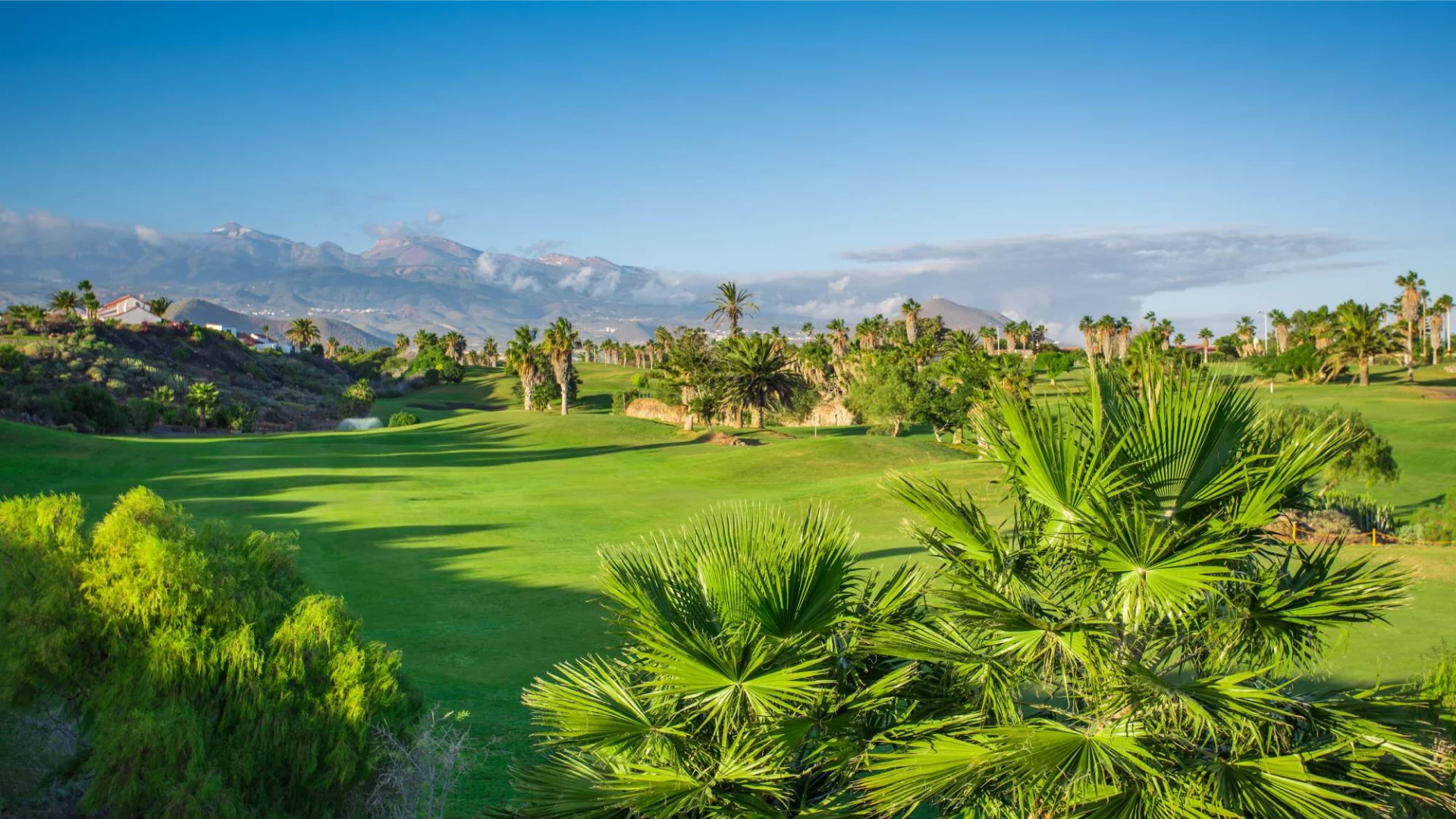 Golfparadis: Tee Time Bliss på Tenerifes beste golfklubber