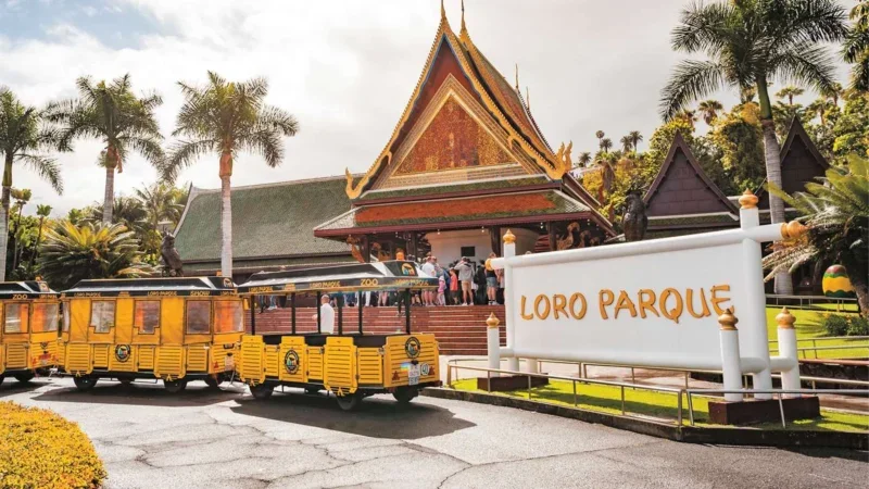 Loro Parque Tenerife – Oppdag hjertet av øyas naturlige underverk