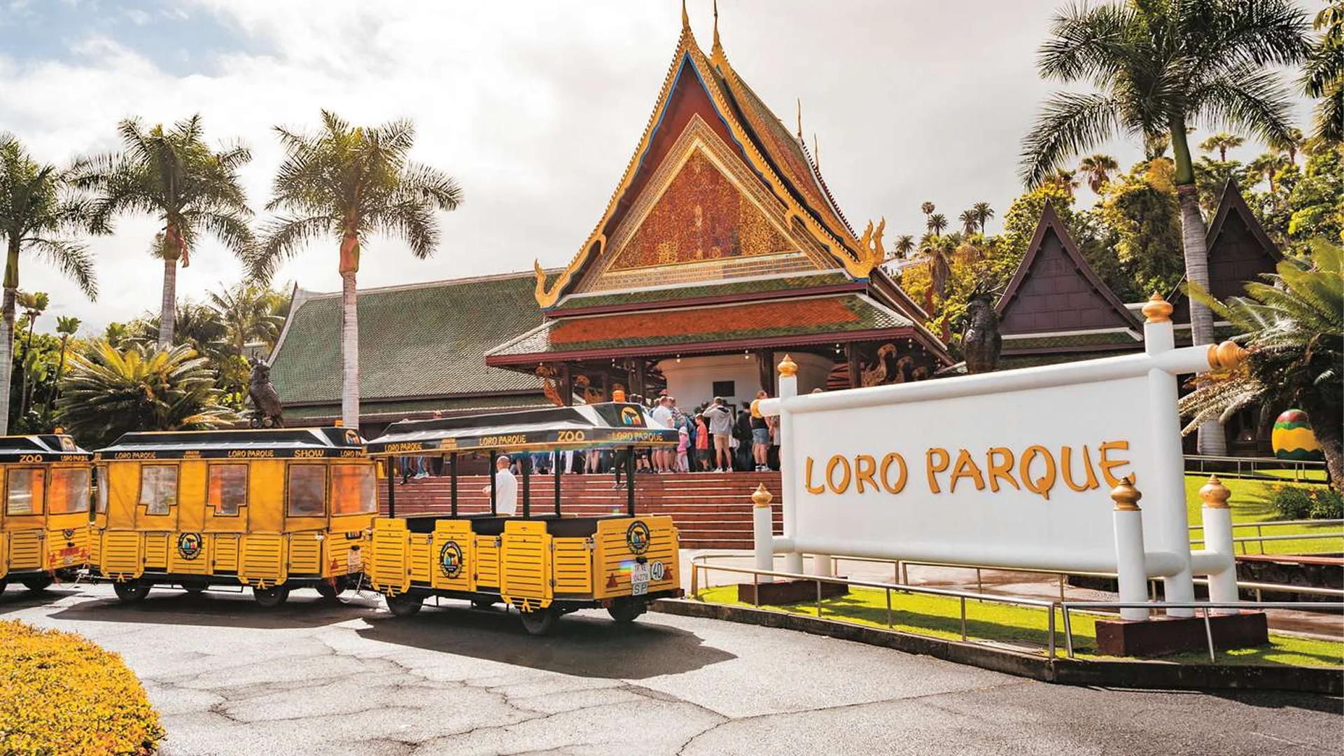 Loro Parque Tenerife – Oppdag hjertet av øyas naturlige underverk