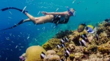 Svøm med strømmen: Et dypdykk i Tenerifes snorkleområder